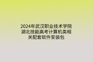 2023武漢職業(yè)技術(shù)學院湖北技能高考技能操作考試考點報考指南