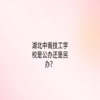 湖北中南技工學(xué)校是公辦還是民辦？
