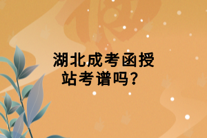 湖北成考函授站考譜嗎？