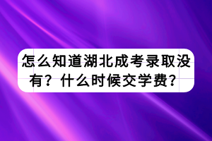 怎么知道湖北成考錄取沒有？什么時候交學(xué)費(fèi)？