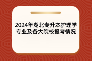 2024年湖北專升本護理學專業(yè)及院校報考情況