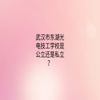 武漢市東湖光電技工學(xué)校是公立還是私立？
