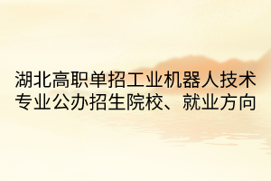 湖北高職單招工業(yè)機(jī)器人技術(shù)專業(yè)公辦招生院校、就業(yè)方向