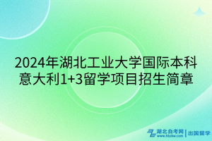 2024年湖北工業(yè)大學國際本科意大利1+3留學項目招生簡章