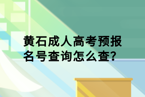 黃石成人高考預(yù)報名號查詢怎么查？