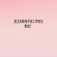武漢東新電子技工學(xué)校分?jǐn)?shù)線？