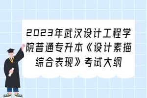 2023年武漢設(shè)計(jì)工程學(xué)院普通專升本《設(shè)計(jì)素描綜合表現(xiàn)》考試大綱