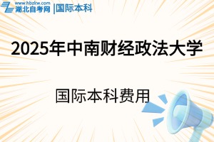 2025年中南財(cái)經(jīng)政法大學(xué)國(guó)際本科需要花多少錢？