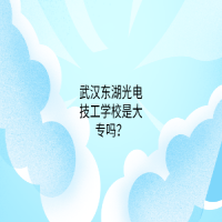 武漢東湖光電技工學校是大專嗎？