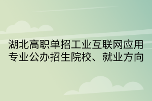湖北高職單招工業(yè)互聯(lián)網(wǎng)應(yīng)用專業(yè)公辦招生院校、就業(yè)方向