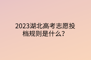 2023湖北高考志愿投檔規(guī)則是什么？