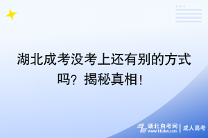 湖北成考沒考上還有別的方式嗎？揭秘真相！