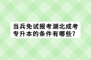 當兵免試報考湖北成考專升本的條件有哪些？