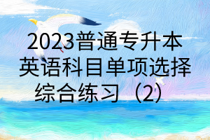 2023普通專升本英語科目單項選擇綜合練習(xí)（2）