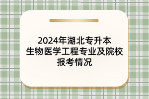 2024年湖北專升本生物醫(yī)學(xué)工程專業(yè)及院校報考情況