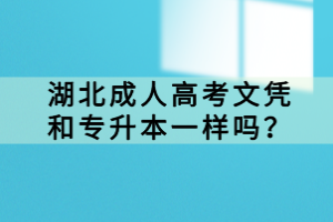 湖北成人高考文憑和專升本一樣嗎？