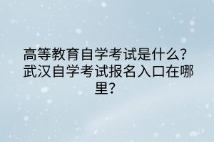 高等教育自學(xué)考試是什么？武漢自學(xué)考試報(bào)名入口在哪里？