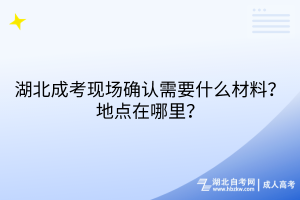 湖北成考現(xiàn)場確認(rèn)需要什么材料？地點在哪里？