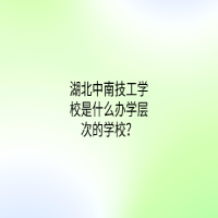 湖北中南技工學(xué)校是什么辦學(xué)層次的學(xué)校？