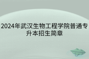 2024年武漢生物工程學(xué)院普通專升本招生簡章