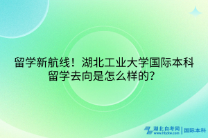 留學(xué)新航線！湖北工業(yè)大學(xué)國際本科留學(xué)去向是怎么樣的？