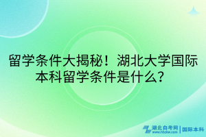 留學(xué)條件大揭秘！湖北大學(xué)國際本科留學(xué)條件是什么？