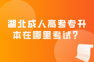 湖北成人高考專(zhuān)升本在哪里考試？