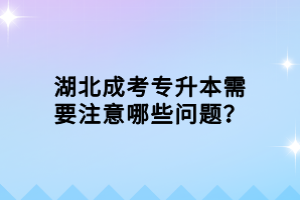 湖北成考專(zhuān)升本需要注意哪些問(wèn)題？
