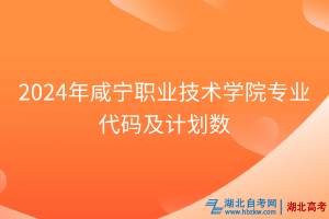 2024年咸寧職業(yè)技術學院專業(yè)代碼及計劃數(shù)