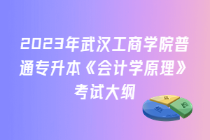 2023年武漢工商學院普通專升本《會計學原理》考試大綱