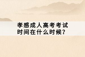 孝感成人高考考試時間在什么時候？