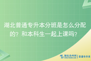 湖北普通專升本分班是怎么分配的？和本科生一起上課嗎？