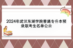 2024年武漢東湖學(xué)院普通專升本預(yù)錄取考生名單公示