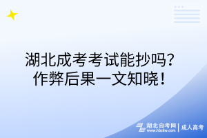 湖北成考考試能抄嗎？作弊后果一文知曉！