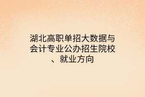 湖北高職單招大數(shù)據(jù)與會(huì)計(jì)專業(yè)公辦招生院校、就業(yè)方向