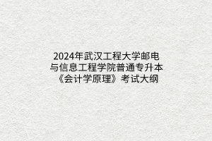 2024年武漢工程大學(xué)郵電與信息工程學(xué)院普通專升本《會(huì)計(jì)學(xué)原理》考試大綱