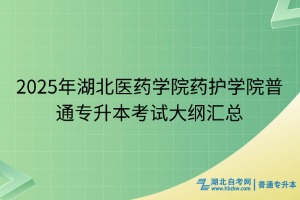 2025年湖北醫(yī)藥學(xué)院藥護(hù)學(xué)院普通專升本考試大綱匯總