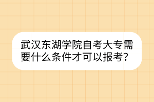 武漢東湖學(xué)院自考大專需要什么條件才可以報(bào)考？