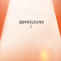 技校中?？梢陨髮?？