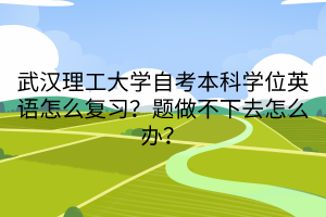 武漢理工大學(xué)自考本科學(xué)位英語怎么復(fù)習(xí)？題做不下去怎么辦？