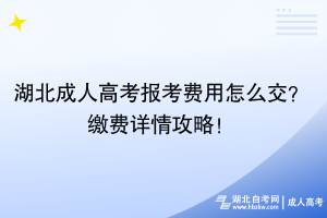 湖北成人高考報(bào)考費(fèi)用怎么交？繳費(fèi)詳情攻略！