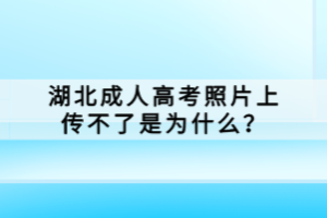 湖北成人高考照片上傳不了是為什么？