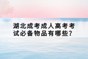 湖北成考成人高考考試必備物品有哪些？