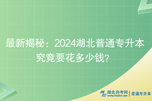 最新揭秘：2024湖北普通專升本究竟要花多少錢？