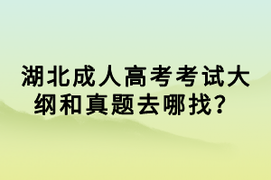 湖北成人高考考試大綱和真題去哪找？