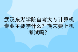 武漢東湖學(xué)院自考大專計(jì)算機(jī)專業(yè)主要學(xué)什么？期末要上機(jī)考試嗎？