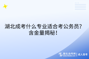 湖北成考什么專業(yè)適合考公務(wù)員？含金量揭秘！