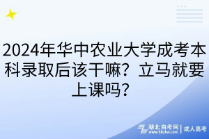 2024年華中農(nóng)業(yè)大學(xué)成考本科錄取后該干嘛？立馬就要上課嗎？