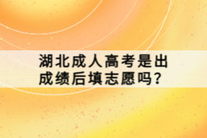 湖北成人高考是出成績(jī)后填志愿嗎？