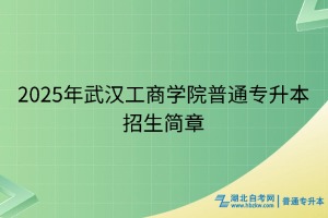 2025年武漢工商學院普通專升本招生簡章